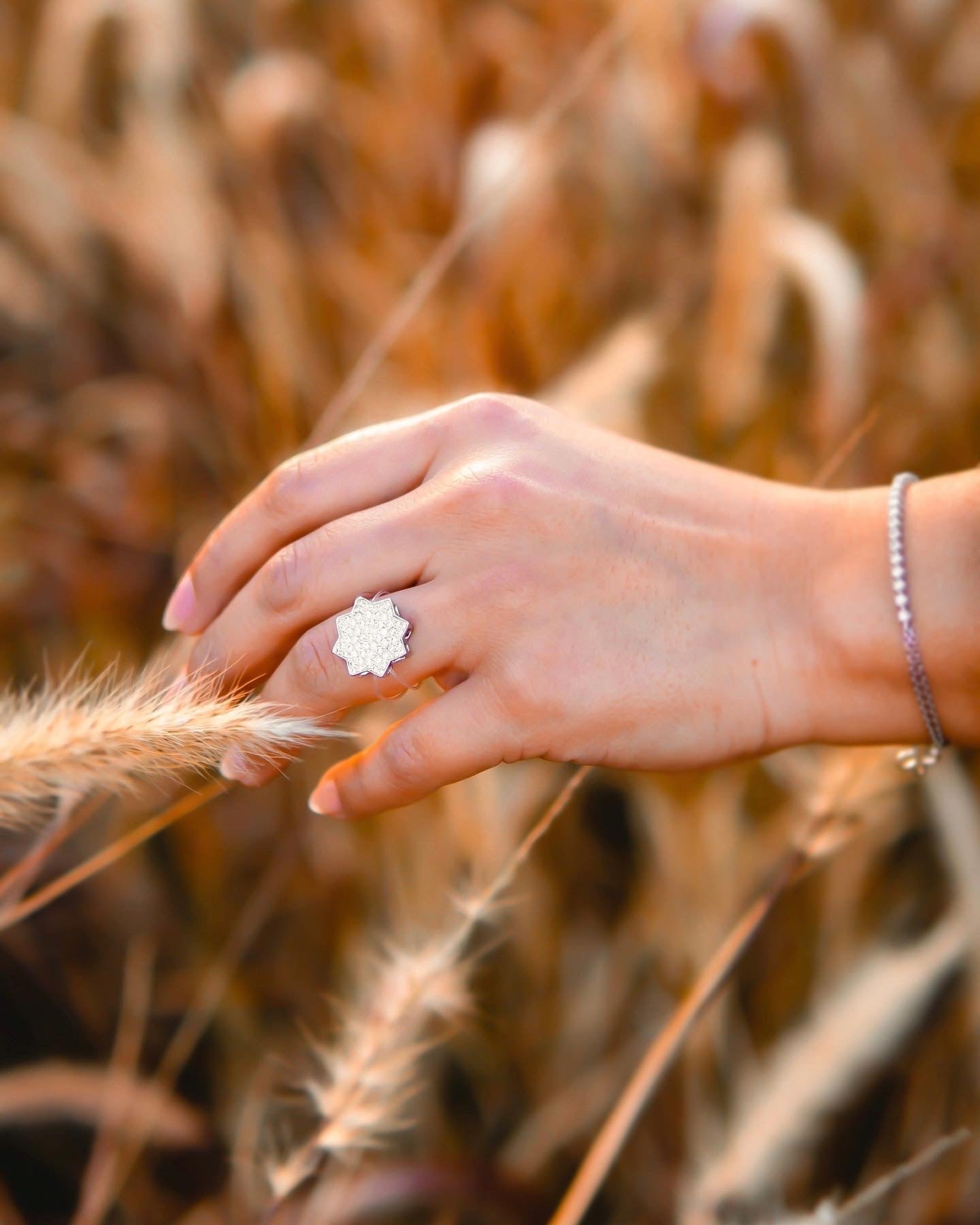 خاتم نجوم المجرة